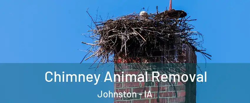 Chimney Animal Removal Johnston - IA
